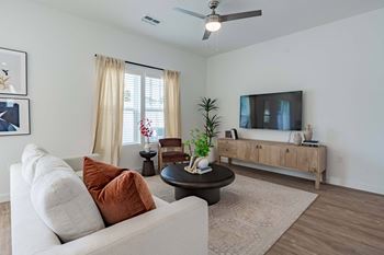Bright & open floor plans